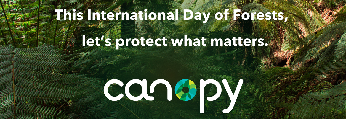 International forest day banner