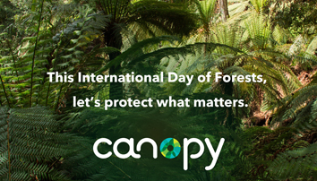 International forest day banner